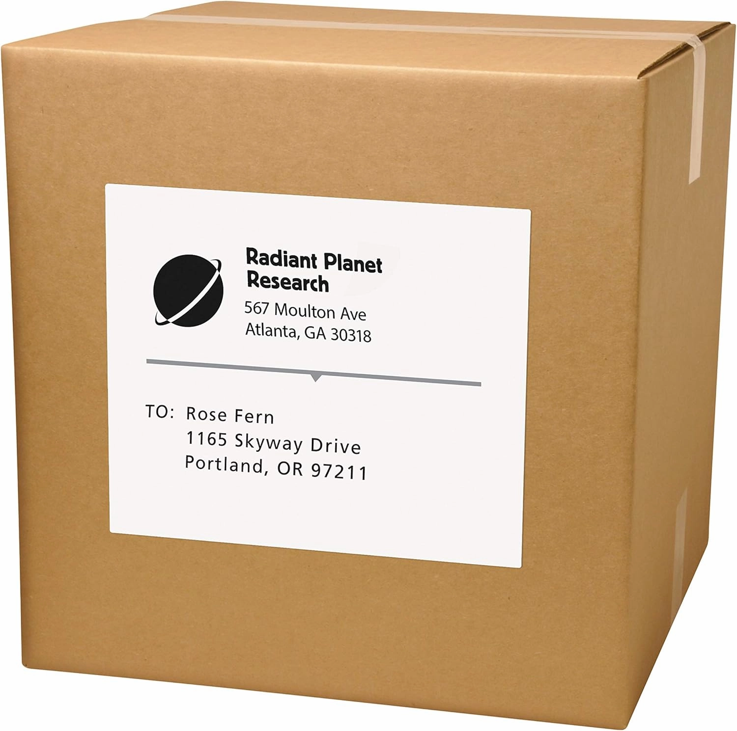 Avery Printable Shipping Labels for Copiers, 8.5" x 11", White, 100 Blank Mailing Labels (5353)
