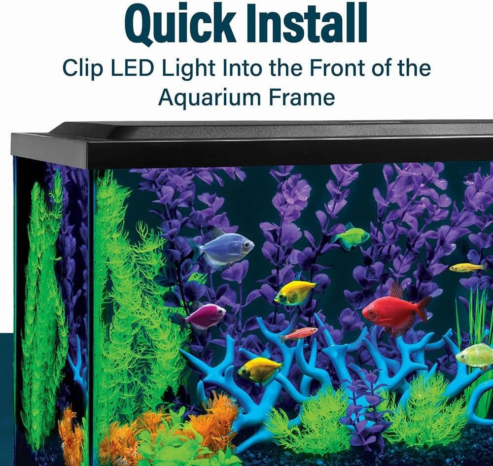 GloFish 6-Inch LED Light Stick for Fish Aquariums Up to 5 Gallons, 1 Count, with White and Blue LED Lights
