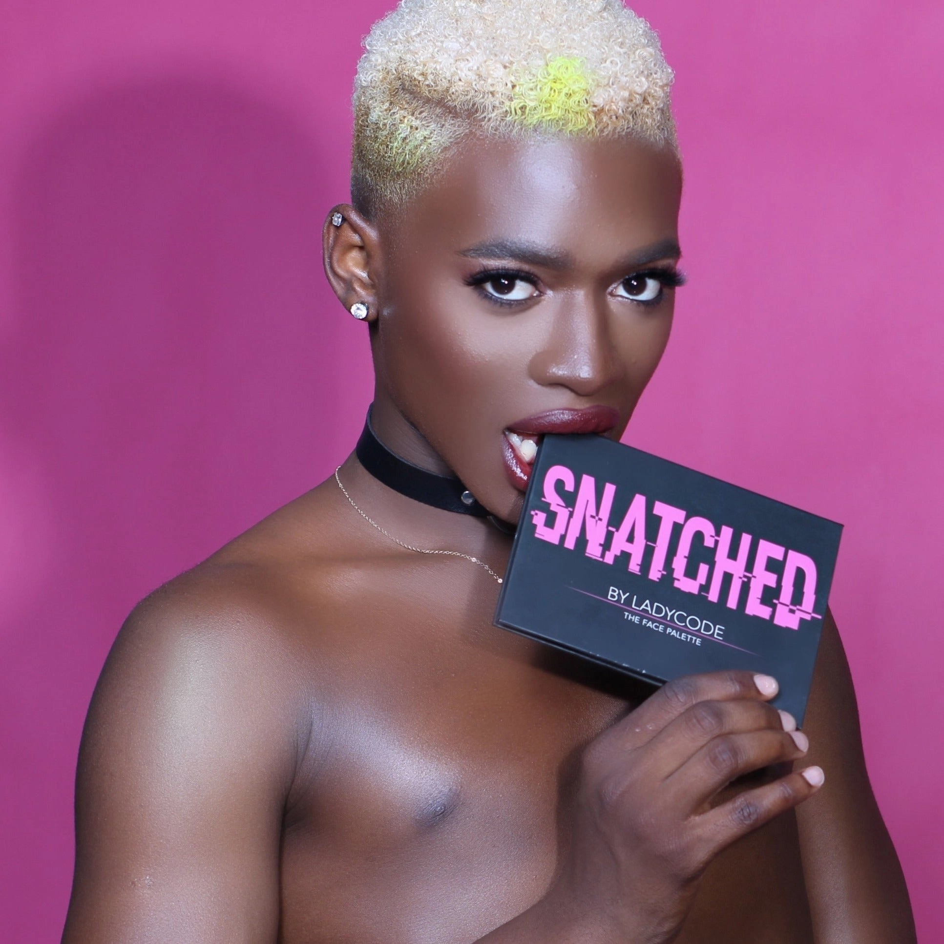 SNATCHED - THE FACE PALETTE